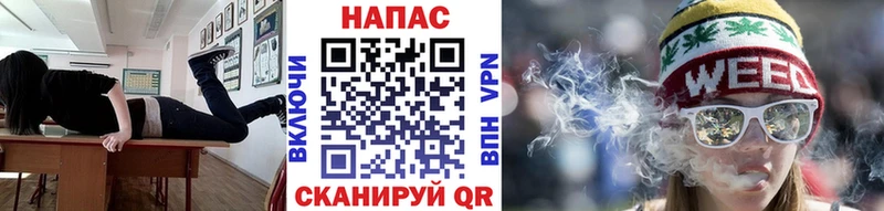 Купить где  Усмань  Канабис семена 
